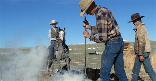 Montana farmers helping Israel tend to farms amid war