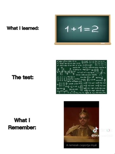 hát így megy ez a tanulás 😅✨🫶🏼#pamkutya