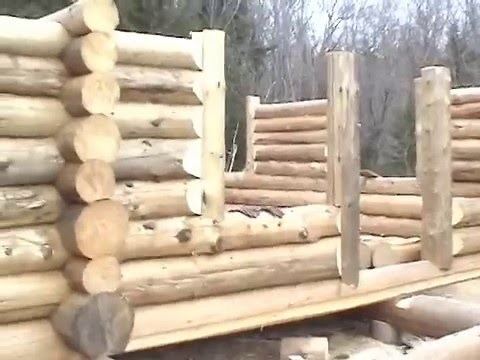 The Adirondack Lean-to Company: Building a Log Cabin