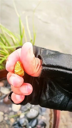 Gold and Gemstones Found Together in the River!