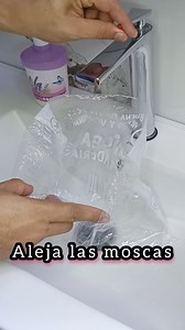 21K views · 154 reactions | Si colocas una bolsa de agua con 2 papel de aluminio dentro, la cuelgas en tu cocina, no volverás a tener problemas de moscas en tu casa. Pruébalo y me cuentas. #viralreels #reels | hogar y cocina | Facebook