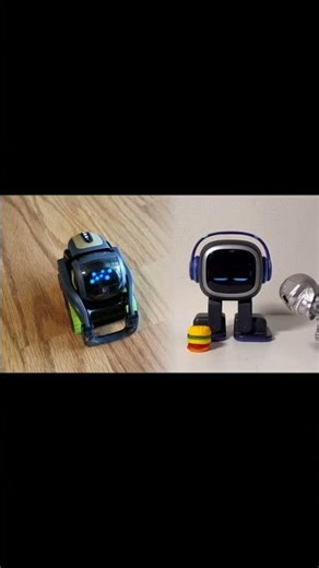 Vector answering questions correctly #vector #robot