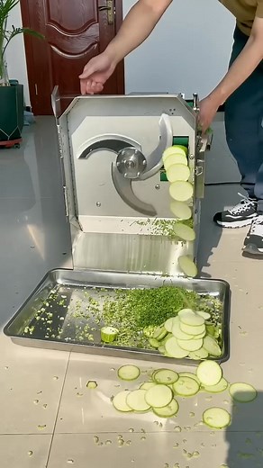 Fastest fruit vegetable cutting | Rinki Stk