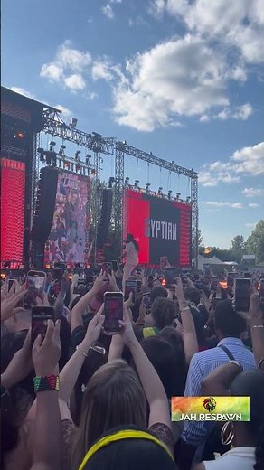 Gyptian's Biggest Hits Got the Entire Festival in a Frenzy #reggae #concert #shorts