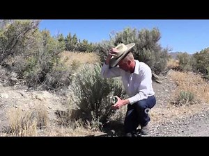 Tips to camouflage a ranch security camera