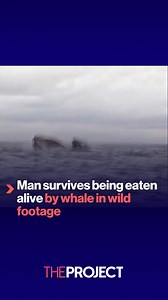A Chilean kayaker has survived being eaten alive by a humpback whale before being spat out and returned to the ocean in an incredible moment that was caught on camera. | The Project