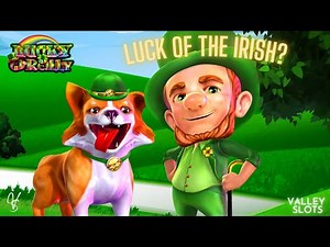 Leprechaun and His Dog Were Quite Active in the Bonus on Coin Bonanza Lucky O'Reilly Slot