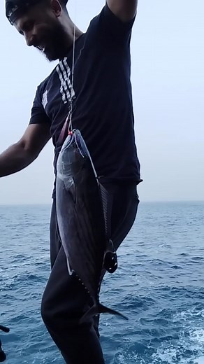 Shimano Stradic 5000 Jig Fishing Gear Review