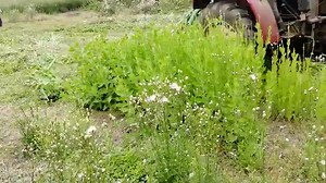 Manufacturer Produces Tractor Mounted Forage Alfalfa Harvester Sickle Mower Cutting Machine