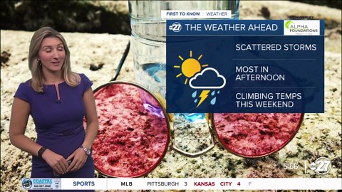 Summer pattern in full swing here in South Georgia and the Big Bend