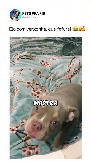 Ela nem sabe o quanto é fofa 😂✨