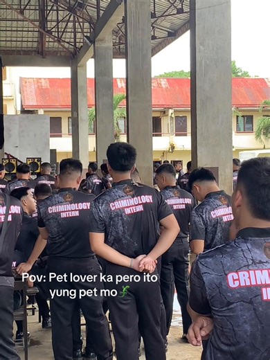 Understanding Your Unique Pet Lizard