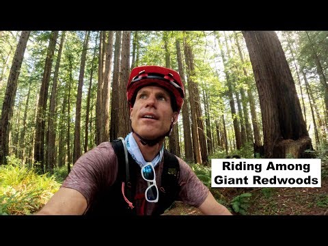 This Place is Off the Charts! Bay Area Bikepacking Adventure