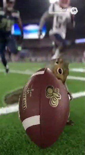 A squirrel intercept the football!