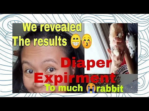 How to make diaper for tiny rabbits /bunny? - Expirment by Minerva Rule 2021