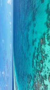 The Great Barrier Reef is the world's largest coral reef system, stretching over 2,300 km off Australia's coast. Built by tiny coral polyps over thousands of years, it's a vibrant underwater world teeming with marine life and even visible from space. NOTE : VOICE IS GENERATED BY AI FOR EDUCATIONAL AND CREATIVE USE. #greatbarrierreef #greatbarrierreefaustralia #pholyp #oceanworld #coralreef #nature #NatureFacts #amazingplaceonEarth #geology #science #knowledge #facts #interestingfacts #randomfact