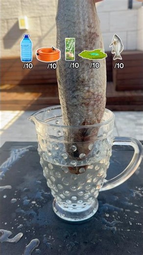 Qual é a pior água pra beber?! 🤮 #experimento #agua #aguamineral #aguadoce #aguadecoco