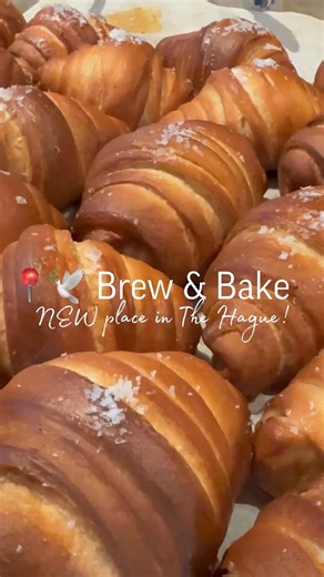 NEW place in the hague and it’s already a favorite