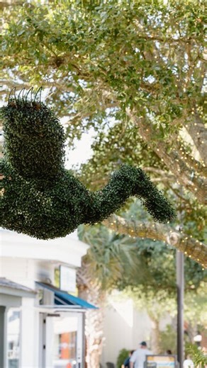 Freshfields Village on Instagram: "A day at Freshfields is a day well spent 懶"