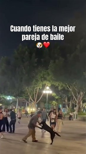 Cuando tienes la mejor pareja de baile 🐶❤️ #viralvideo #funny #dog #perros