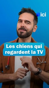 5K views · 14 reactions |  Si ça continue, ce sont nos toutous qui vont prendre possession de la télécommande ! Que voient-ils vraiment de nos écrans : explications avec le Dr Pierre Fabing. | ici Drôme Ardèche | Facebook