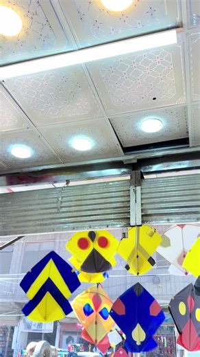 #biggest #kites #flying #videoviral #trendingtiktok #foryou #foryou