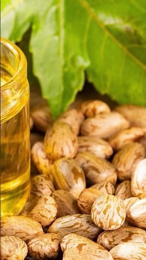 RICIN : Nature's Deadly Poison #facts #ricin #breakingbad