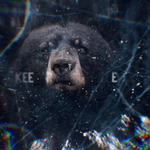 In Native American cultures, the bear symbolizes a number of different things, including strength, wisdom, and healing. Tune into a new episode of Life Below Zero Tuesday nights at 8/7c on National Geographic. | National Geographic TV