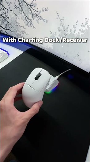 Only 20$！The Best Budget Wireless Gaming Mouse!