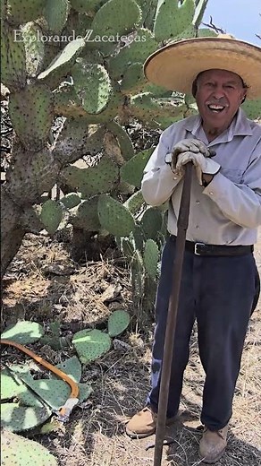 Work tool made from scrap metal #zacatecas #nopal