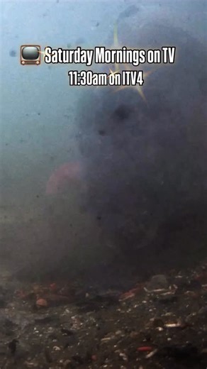 🤩Saturday mornings just got better for the next 4 weeks! Fishing on TV on ITV4: UNDERWATER @grandfishingadventure ⏰Today (22nd Nov) at 11:30am is Episode 1: Chase Lakes, France 🇫🇷 🎣 @alihamidi is joined by @roo_abbott_angler , & diver Luc from @underfishing.life . ▶️Their mission is to catch at least one carp in front of the underwater cameras, but will they do it? #carpfishing #fishing #underwater #grandfishingadventure #itv4 #onemorecast #omctackle | ONE MORE CAST