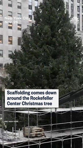 Scaffolding comes down around the Rockefeller Center Christmas tree ahead of the tree lighting ceremony on Wednesday, December 3. | NBC News