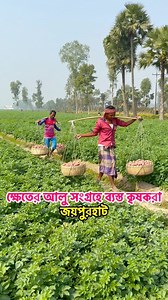 জয়পুরহাটের কৃষক আলু সংগ্রহে ব্যস্তVillage Tour | Village Tour