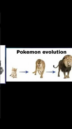 pokemon evolution vs digimon evolution