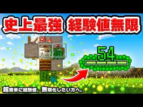 Armadillo XP Farm - 0 to 50+ Levels Per Run! Minecraft Bedrock (MCPE/PS5/Switch/Xbox)