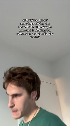 Annoying Flying Dog Meme Resurfaces | Vine 2016 Mashup