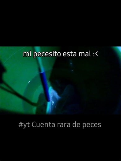 que me recomiendan para que se recupere :( #someonefishy #peces #urgente