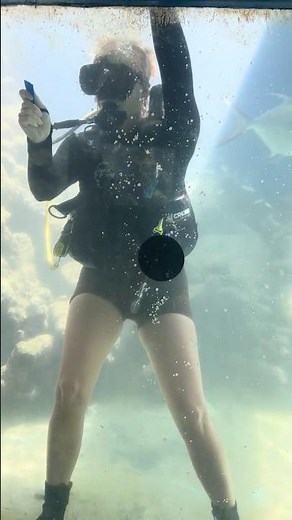 Diver Waves INSIDE Shark Tank | Coral World St Thomas 4K