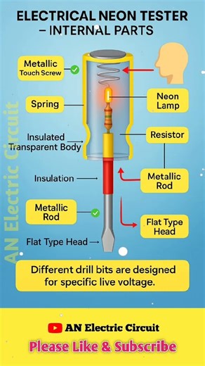 “Inside an Electrical Neon Tester 🔎 | Internal Parts Explained | #shortsfeed #shorts #youtube