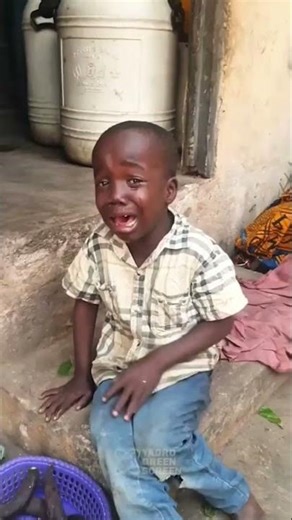 My brain actually stopped working for a second... 🤯🌳😂