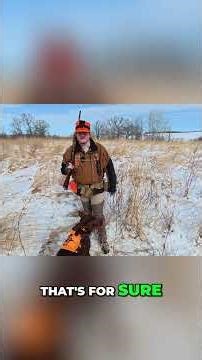 BEST Hunting Dog Retrieves Bird in Snowy Field! #shorts
