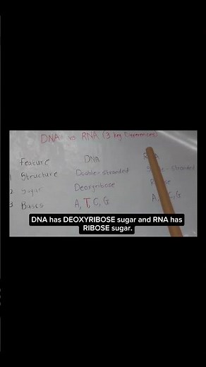 🧬DNA vs RNA ( 3 Easy Marks) | Grade 12 Life Sciences | Quick Exam Revision📚📚
