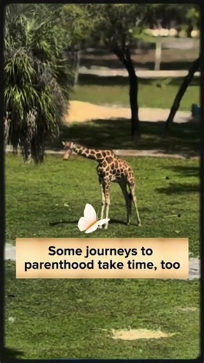 Thinking about surrogacy? Start Here