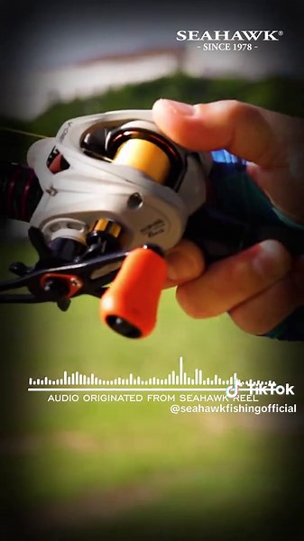 Experience the Thrill of Fishing with Seahawk