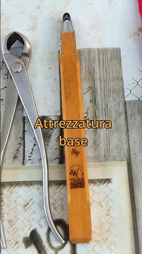 ESSENTIAL Bonsai Tools to Get Started with Bonsai!