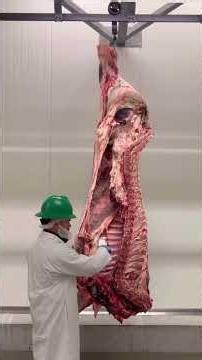 Parts of a Beef Carcass Part 1