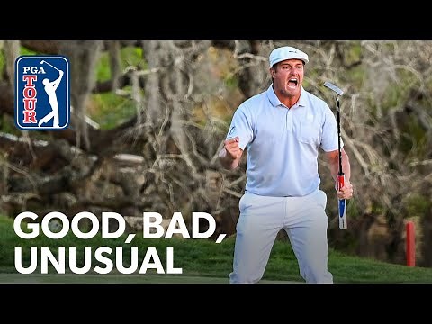 DeChambeau blasts longest ever Bay Hill drive on 6, Spieth’s ace, Day in a birds nest