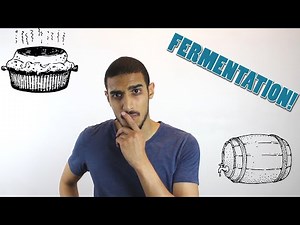 Fermentation شرح بالعربي