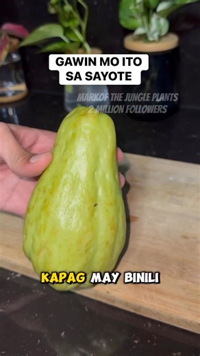 Tips para sa Sayote bago lutoin #sayote #tips #tricks | Mark of the Jungle Plants