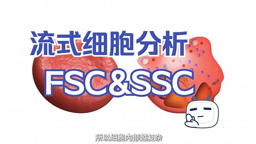 流式细胞分析中什么是FSC和SSC
